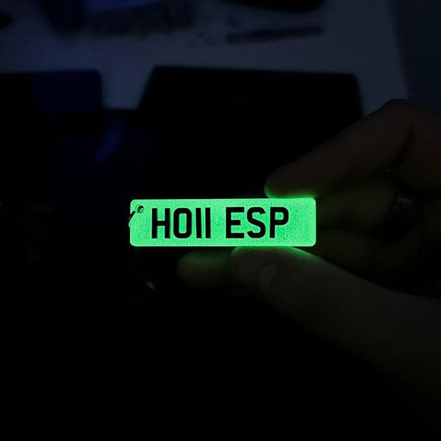 Glow In The Dark Number Plate Key RIng - Best Merch
